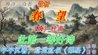 【古詩詞鑒賞】《唐詩三百首》| 杜甫 | 《春望》 | 五言律詩 | 愛國主義詩篇 | Appreciation and Analysis of Chinese Poetry