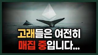 개미들이 공포에 던질 때 고래들은 미친듯이 비트코인과 이더리움을 담고 있습니다