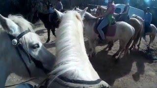 Horse trek Vallee de la Ceze - Goudargues