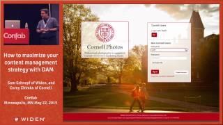 Maximizing Content Management Strategy with DAM