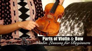 Parts of the Violin & Bow | Music Tutorial | Violin Lessons 4