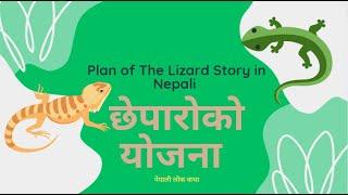Nepali Lok Katha ।छेपारोको योजना । Plan of The Lizard Story in Nepali । Moral Stories