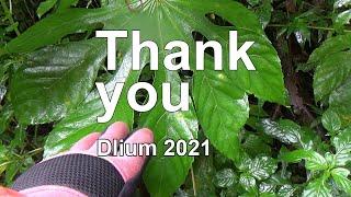 Thank you ǀ Dlium 2021