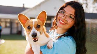 Pet Paradise - Complete Pet Health Care