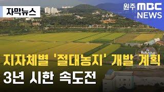 [자막뉴스] 지자체별 '절대농지' 개발 계획.. 3년 시한 속도전 (2024. 5. 30 원주MBC)