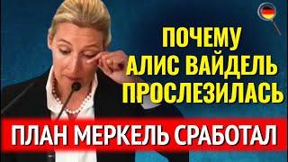 СЛЕЗЫ АЛИС ВАЙДЕЛЬ, Сириец ЖЕСТОКО УБИЛ 20-летнего парня, БРАВО ФРАУ МЕРКЕЛЬ