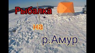 Рыбалка на реке Амур