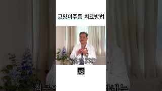#부산피부과전문의 #고양이주름치료방법