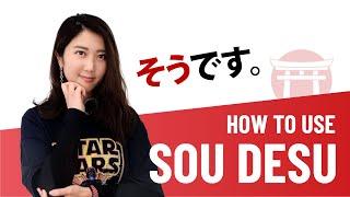 How to use Sou Desu | そうです | JLPT N4 Grammar