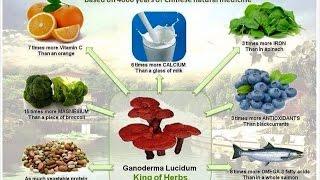 Organo Gold's super food;Reishi Mushroom aka Ganoderma