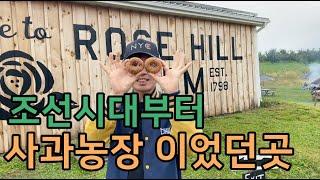 뉴욕 | 뉴욕 근교 나들이, 업스테잇 뉴욕에 위치한 사과농장 "Rose Hill Farm"