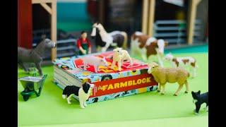 Block Books : Alpha block, Counta block, Farm block, City Block - Kid's Books " QUICK" Review -