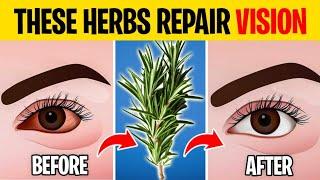 6 Herbs That Protect EYES and Repair VISION