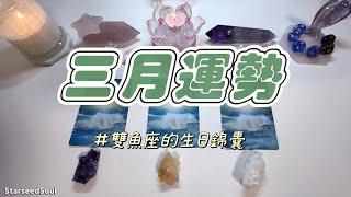 塔羅占卜| 三月運勢重點+ ️雙魚座的生日錦囊