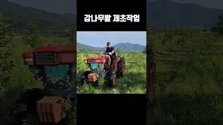 제초작업이 가장 쉬웠어요