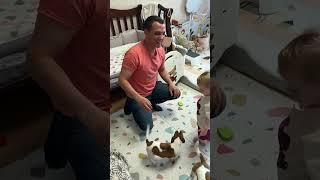 Вожак - Альфа стаи