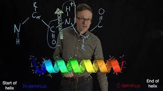 Lecture 04, concept 21: Alpha helix capping with charges