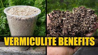 Benefits of Vermiculite - Garden Quickie Episode 48