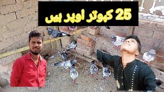 25 kabootar uper hain||TALHA PEGION CLUB