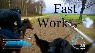 Training Racehorses - Fast work!