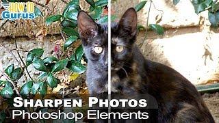 How You Can Sharpen Blurry Photos using Photoshop Elements : Sharpening Techniques Tutorial