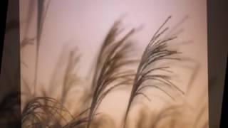 숨어우는 바람소리- ac오카리나연주 홍주연(홍나비)