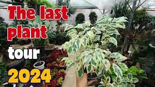 The last plant tour of 2024 | indoor plants collection in greenhouse "Part 2"