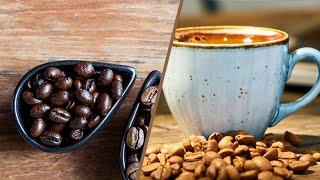 Light Roast Vs Dark Roast Coffee: Choose the Best Options For You! [2024]