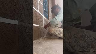 𝚁𝚊𝚜𝚑𝚝𝚛𝚒𝚢 𝚍𝚎𝚜𝚒𝚐𝚗 #home #shorts #viral #painting #wallpaint #design