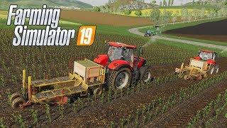 FS19 | #38 A Plantar Álamos con tractores Case