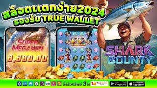 Shark Bounty สล็อตpg สล็อตแตกง่าย สล็อตpgแตกง่าย สล็อต pg slot แตกง่ายล่าสุด