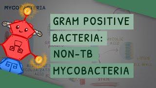 Gram Positive Bacteria: Non-TB Mycobacteria