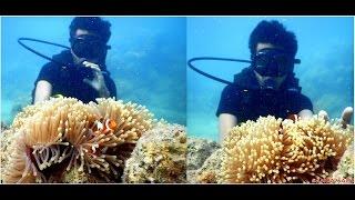 Scuba at Andamans - Siddhartha Chabukswar