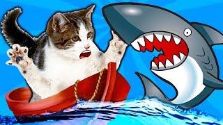 #2 KITTY FISHER cat simulator fishing video about a small kitten like cartoon game from fgtv