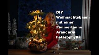 #diezürcherin #diy Weihnachtsbaum mit Zimmertanne #deutsch #floristik  #floraldesign