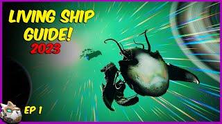 No Man's Sky Living Ship Guide Episode 1 Void Egg Search 2023