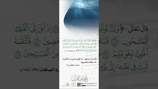 جواهر القرآن @