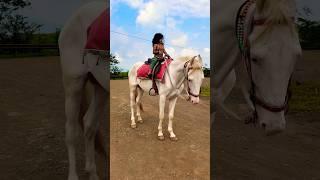 Horse video  | #horse #horses #ghoda #cutebaby #ytshorts #viral #trending #shortsfeed #ytvideo