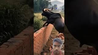 omg ye kaisa ho Gaya #funny #shorts