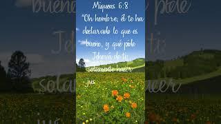 ¿Qué Dice Dios Hoy? Escucha Atentamente el Versículo del Día