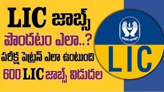 Career Guide: 600 LIC Jobs Notification Apply Now | LIC Recruitment | SumanTV