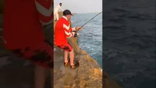 SEA FISHING #fish #fishingdiscoveries #fishinglife