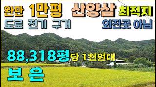 보은  88,313평,  완만한 1만평,  산양삼 최적지, 전기도로접한 충북임야, 귀산촌 대형임야