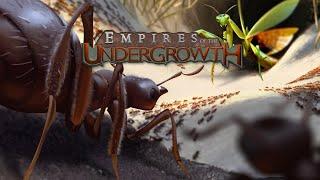 Midweek Stream - Empires of the Undergrowth