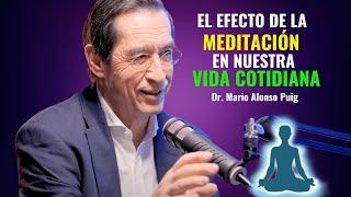 El Poder Oculto de la Meditación | Dr. Mario Alonso Puig | Enseñanzas