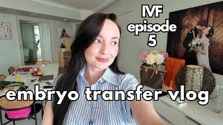 IVF Journey Embryo transfer vlog | episode 5