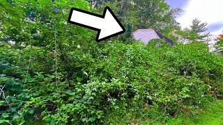 Couple STUNNED with What I FOUND BURIED under this Overgrown Grass!