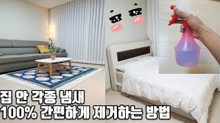 집안 쾌쾌한 각종 냄새 100% 간편하게 제거하는 방법 남자방 냄새, 아저씨 냄새 "이것" 사용하세요!!