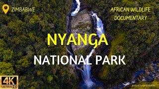 African Wildlife Documentary Film - Nyanga National Park, Zimbabwe, Africa