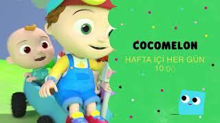 CARTOONITO KUŞAĞI COCOMELON | HAFTA İÇİ HER GÜN 10.00 | Cartoon Network Türkiye